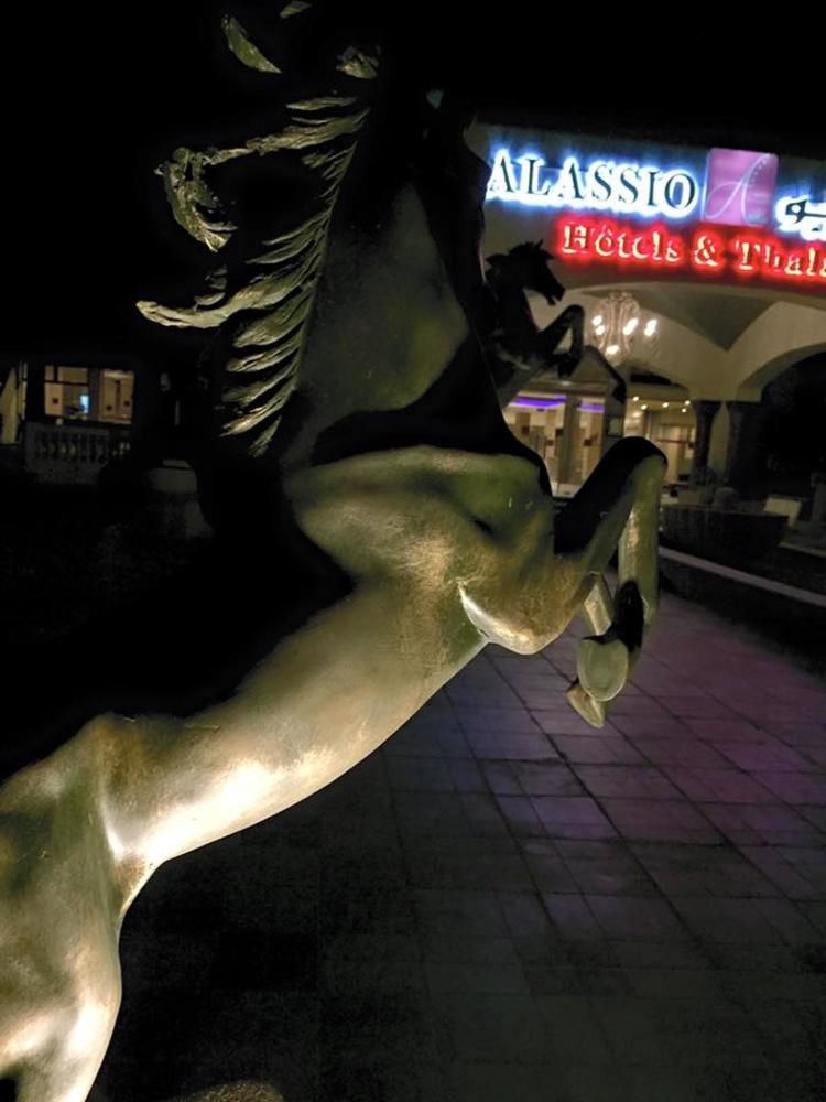 Alassio Hotel and Thalasso