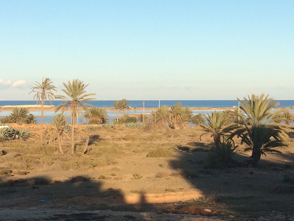 Dar El Jasmin Djerba