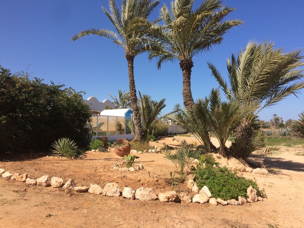 Dar El Jasmin Djerba