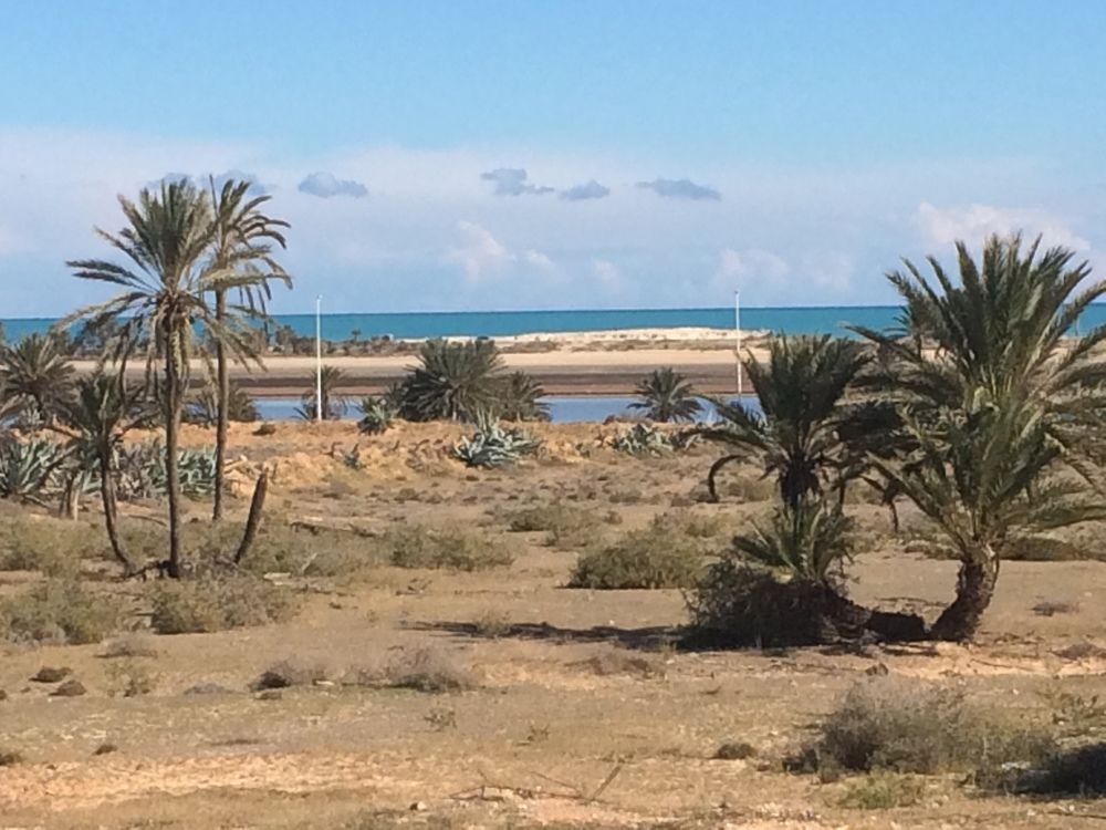 Dar El Jasmin Djerba