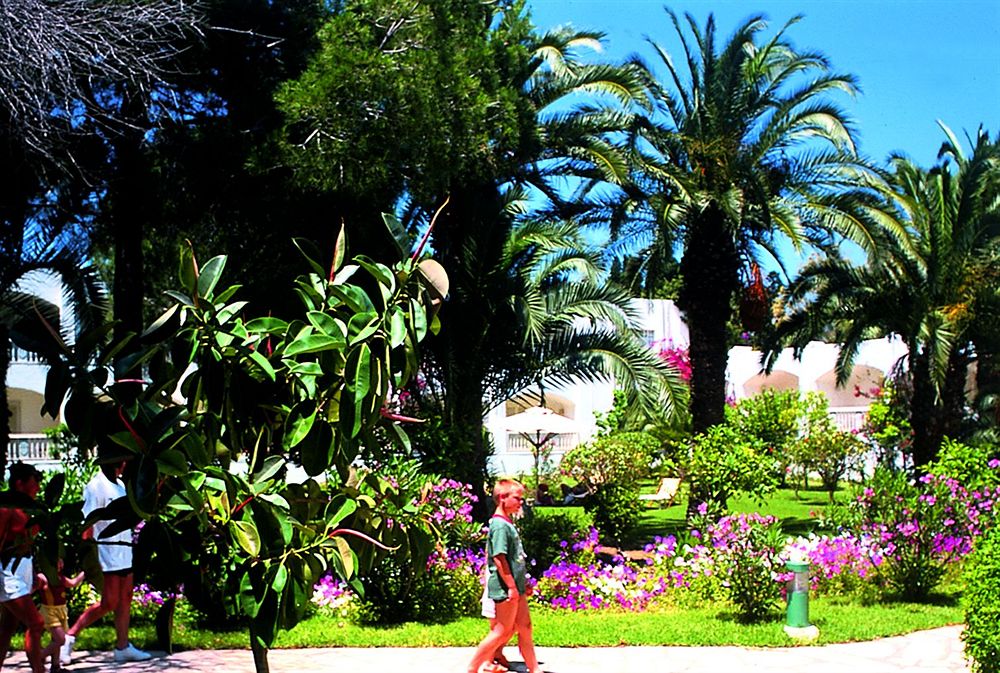 Les Orangers Beach Resort &  Bungalows