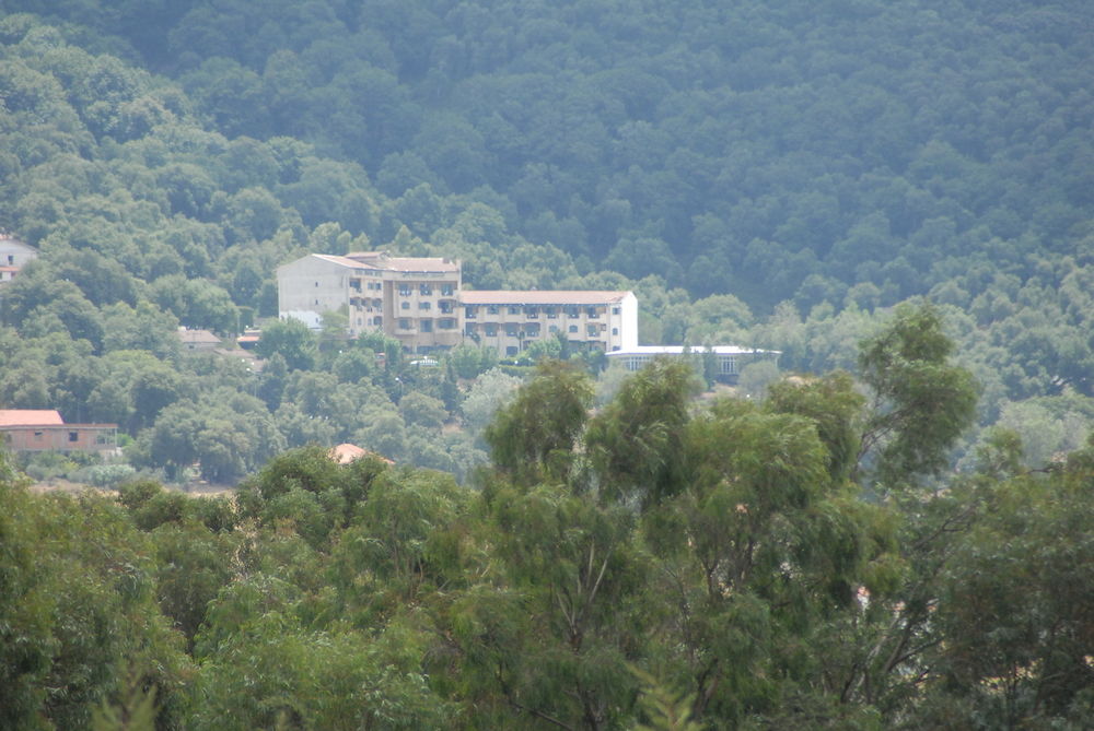Royal Rihana