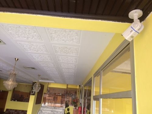 Tej Tunis